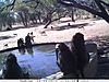 trailcamera-223.JPG