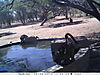 trailcamera-230.JPG