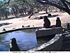 trailcamera-234.JPG