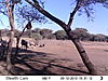 trailcamera-304.JPG