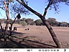 trailcamera-305.JPG