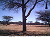 trailcamera-379.JPG