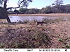 trailcamera-391.JPG