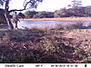 trailcamera-394.JPG