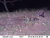 trailcamera-406.JPG