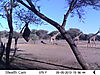 trailcamera-411.JPG