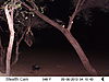 trailcamera-413.JPG