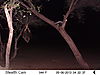 trailcamera-417.JPG