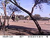 trailcamera-423.JPG