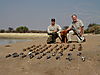 bird_hunting_006.JPG