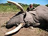 Manuel-Pariente-with-his-104-lbs-and-99-lbs-tusker.jpg