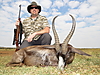 black_springbok1.jpg