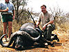hunting-big-buffalo.jpg