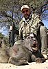 BIG_BABOON_Blaser_375_H_H.jpg