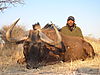 blue_black_wildebeest_01.JPG