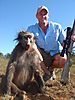 hunting-baboon1.jpg