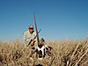 hunting_gemsbok_152.JPG