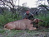 hunting_kudu_086.JPG