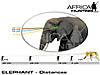 elephant_distances_2.jpg