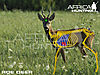 roe-deer-vitals-hunting.jpg