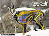 chamois-vitals-bowhunting.jpg