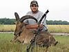 Aoudad_Bowhunting.jpeg