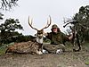 Hunter_Axis_Oct_2012_03.JPG