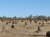 Arnhem_Land_0811.jpg