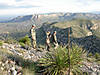 hunting-desert-bighorn-sheep-12.jpg