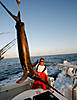 daytime-swordfish.jpg