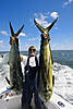 fishing-monster-mahi-shark.jpg