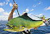 fishing-monster-mahi.jpg