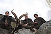 Hunting_Gredos_Gold_Ibex.jpeg