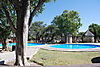 etosha-park-pool.JPG