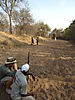 hunting-zimbabwe-45.jpeg