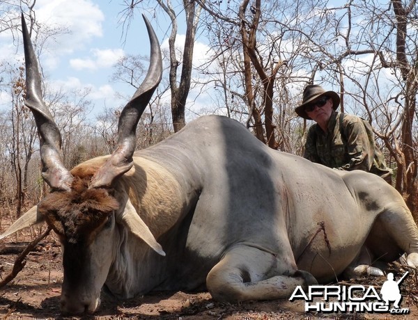 40 1/2 East african Eland hunted in the Selous, Tanzania