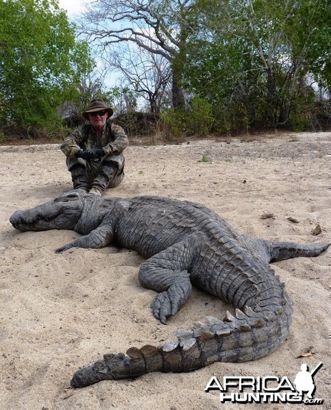 Crocodile hunted in from a hole, Tanzania