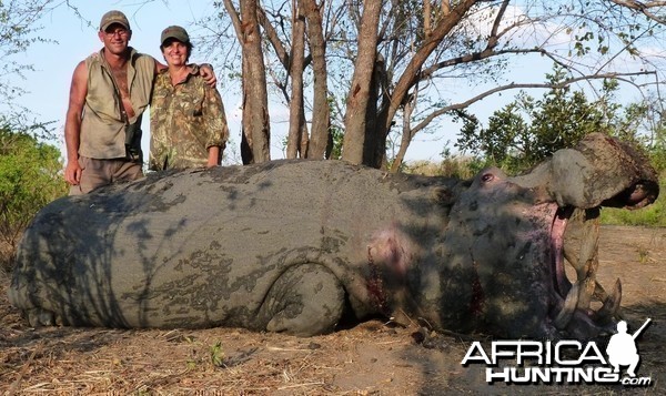 Hippo hunted in the Selous, Tanzania