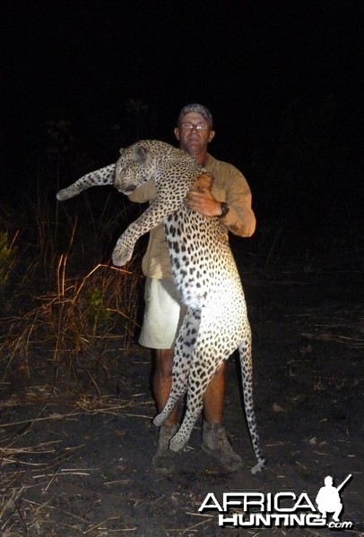 Old Leopard hunted in the Selous, Tanzania