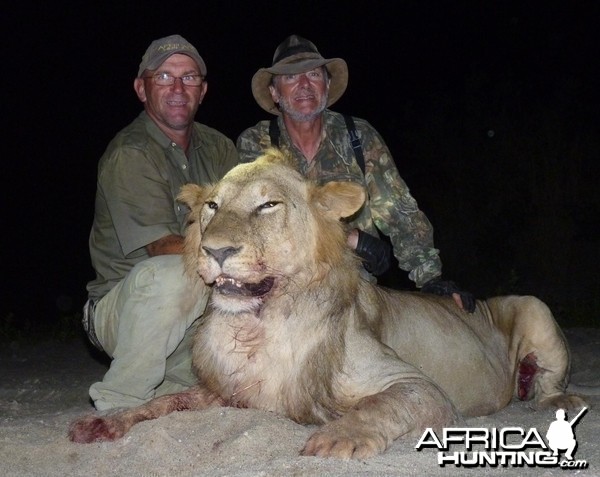 Lion hunted in the Selous, Tanzania
