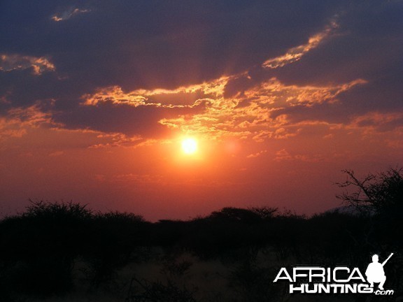 Sunset in the Bush
