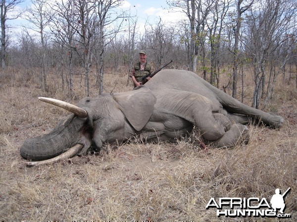 Hunting Elephant