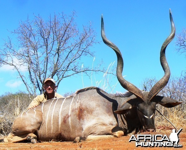 53&quot; East African Kudu