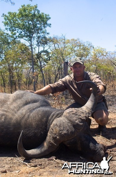 Hunting Buffalo