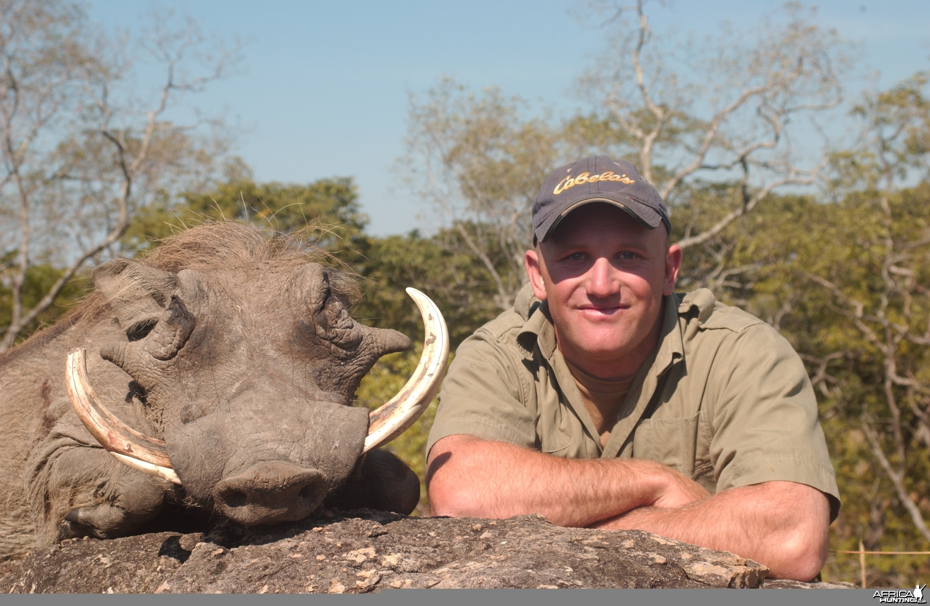 Hunting Warthog