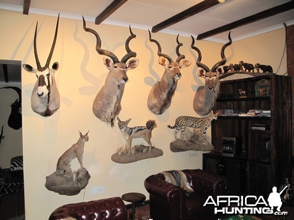 Trophy Room