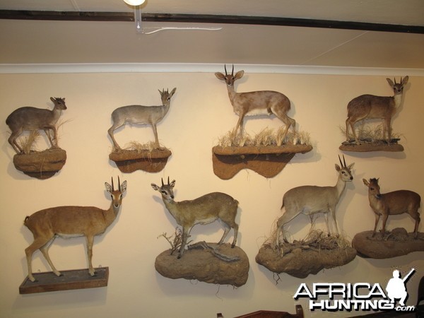 Trophy Room