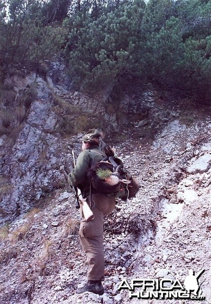Hunting Chamois Slovenia