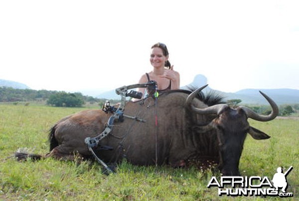 Bowhunting Wildebeest