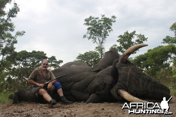 Hunting Elephant Namibia